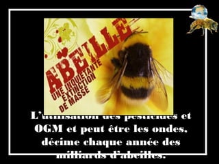 L’utilisation des pesticides et
OGM et peut être les ondes,
décime chaque année des
milliards d’abeilles.
 