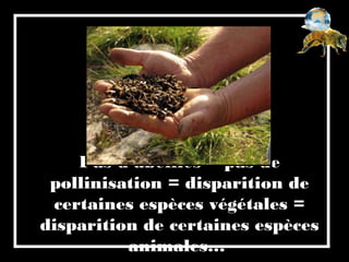 Pas d’abeilles = pas de
pollinisation = disparition de
certaines espèces végétales =
disparition de certaines espèces
animales…
 