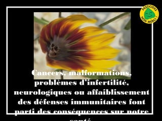 Cancers, malformations,
problèmes d’infertilité,
neurologiques ou affaiblissement
des défenses immunitaires font
parti des conséquences sur notre
 