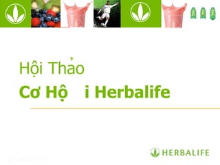 Hội Thảo Cơ Hội Herbalife 