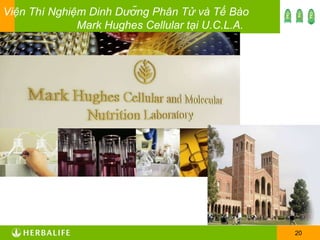 Viện Thí Nghiệm Dinh Dưỡng Phân Tử và Tế Bào Mark Hughes Cellular tại U.C.L.A. 