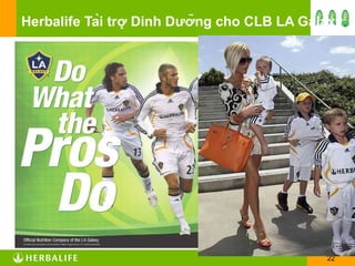 Herbalife Tài trợ Dinh Dưỡng cho CLB  LA Galaxy 