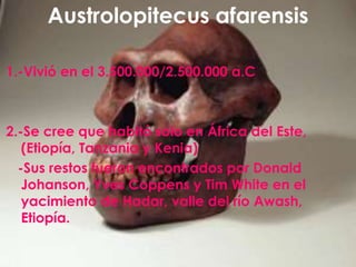 1.-Vivió en el 3.500.000/2.500.000 a.C
2.-Se cree que habitó solo en África del Este,
(Etiopía, Tanzania y Kenia)
-Sus res...