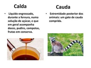 Calda
• Líquido engrossado,
durante a fervura, numa
solução de açúcar, e que
em geral acompanha
doces, pudins, compotas,
frutas em conserva.
Cauda
• Extremidade posterior dos
animais: um gato de cauda
comprida.
 