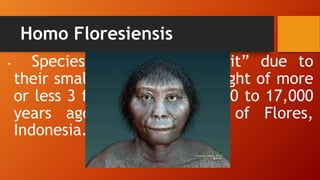 Homo Floresiensis
• Species nicknamed “Hobbit” due to
their small stature with a height of more
or less 3 feet and lived 95,000 to 17,000
years ago in the islands of Flores,
Indonesia. Baleña (2016)
 
