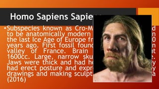 Homo Sapiens Sapiens
•Subspecies known as Cro-Magnon characterized
to be anatomically modern humans and lived in
the last Ice Age of Europe from 10,000 to 40,000
years ago. First fossil found in the Cro-Magnon
valley of France. Brain capacity of about
1600cc. Large, narrow skull with broad face.
Jaws were thick and had hominoid teeth. They
had erect posture and express their feelings by
drawings and making sculptures in cave. Baleña
(2016)
 
