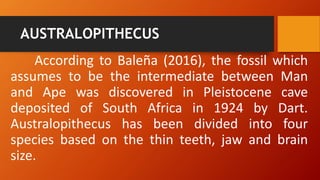 AUSTRALOPITHECUS
According to Baleña (2016), the fossil which
assumes to be the intermediate between Man
and Ape was discovered in Pleistocene cave
deposited of South Africa in 1924 by Dart.
Australopithecus has been divided into four
species based on the thin teeth, jaw and brain
size.
 