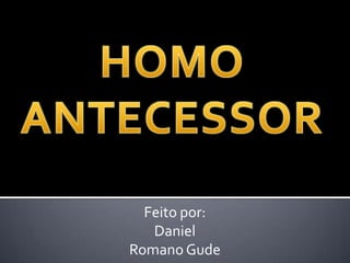 HOMO  ANTECESSOR Feito por:  Daniel Romano Gude 