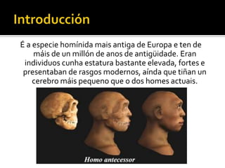IntroducciónÉ a especie homínida mais antiga de Europa e ten de máis de un millón de anos de antigüidade. Eran individuos cunha estatura bastante elevada, fortes e presentaban de rasgos modernos, aínda que tiñan un cerebro máis pequeno que o dos homes actuais.