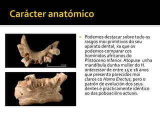 Carácter anatómicoPodemos destacar sobre todo os rasgos moi primitivos do seu aparato dental, xa que os podemos comparar cos homínidos africanos do Plistoceno Inferior. Atopuse  unha mandíbula dunha muller do H. antecessor de entre 15 e 16 anos que presenta parecidos moi claros co Homo Erectus, pero o patrón de evolución dos seus dentes é practicamente idéntico ao das poboacións actuais.