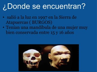   ¿Donde se encuentran?   salió a la luz en 1997 en la Sierra de Atapuercas ( BURGOS)  Tenían una mandíbula de una mujer muy bien conservada entre 15 y 16 años 