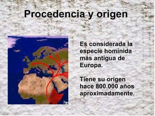 Procedencia y origen Es considerada la especie homínida más antigua de Europa.  Tiene su origen hace 800.000 años aproximadamente. . 