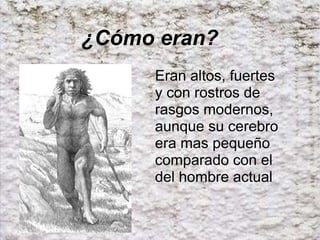   ¿Cómo eran? Eran altos, fuertes y con rostros de rasgos modernos, aunque su cerebro era mas pequeño comparado con el del hombre actual 
