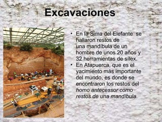 Excavaciones En la Sima del Elefante  se hallaron restos de una mandíbula de un hombre de unos 20 años y 32 herramientas de sílex. En Atapuerca, que es el yacimiento más importante del mundo, es donde se encontraron los restos del  homo antecessor como restos de una mandíbula. 