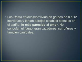 • Los Homo antecessor vivían en grupos de 8 a 12
individuos y tenían parejas estables basadas en
el cariño, lo más parecido al amor. No
conocían el fuego, eran cazadores, carroñeros y
también caníbales.
 
