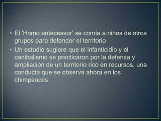 • El 'Homo antecessor' se comía a niños de otros
grupos para defender el territorio
• Un estudio sugiere que el infanticidio y el
canibalismo se practicaron por la defensa y
ampliación de un territorio rico en recursos, una
conducta que se observa ahora en los
chimpancés
 