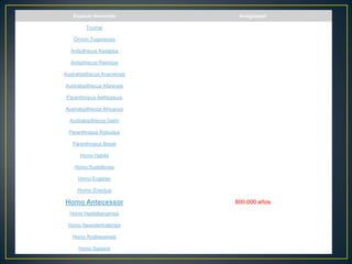 Especie Homínido Antigüedad
Toumaï 7 millones de años
Orrorin Tugenensis 6 millones de años
Ardipithecus Kadabba 5,8 millones de años
Ardipithecus Ramidus 4,4 millones de años
Australopithecus Anamensis 4 millones de años
Australopithecus Afarensis 3,5 millones de años
Paranthropus Aethiopicus 2,5 millones de años
Australopithecus Africanus 3-2 millones de años
Australopithecus Garhi 2,5 millones de años
Paranthropus Robustus 1,9 millones de años
Paranthropus Boisei 1,8 millones de años
Homo Habilis 1,8 millones de años
Homo Rudolfensis 1,6 millones de años
Homo Ergaster 1,2 millones de años
Homo Erectus 1 millón de años
Homo Antecessor 800.000 años
Homo Heidelbergensis 500.000 años
Homo Neanderthalensis 300.000 años
Homo Rodhesiensis 200.000 años
Homo Sapiens 150.000 años
 