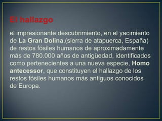 el impresionante descubrimiento, en el yacimiento
de La Gran Dolina,(sierra de atapuerca, España)
de restos fósiles humanos de aproximadamente
más de 780.000 años de antigüedad, identificados
como pertenecientes a una nueva especie, Homo
antecessor, que constituyen el hallazgo de los
restos fósiles humanos más antiguos conocidos
de Europa.
 