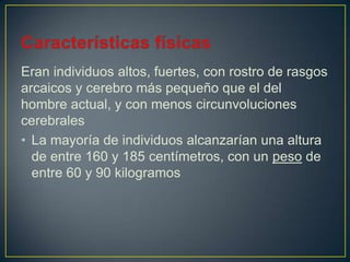 Eran individuos altos, fuertes, con rostro de rasgos
arcaicos y cerebro más pequeño que el del
hombre actual, y con menos circunvoluciones
cerebrales
• La mayoría de individuos alcanzarían una altura
de entre 160 y 185 centímetros, con un peso de
entre 60 y 90 kilogramos
 