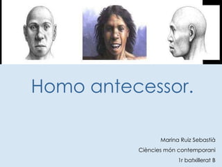 Marina Ruiz Sebastià Ciències món contemporani 1r batxillerat B Homo antecessor. 