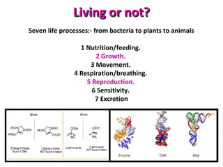 Living or not?Living or not?
Seven life processes:- from bacteria to plants to animals
1 Nutrition/feeding.
2 Growth.
3 Movement.
4 Respiration/breathing.
5 Reproduction.
6 Sensitivity.
7 Excretion
 