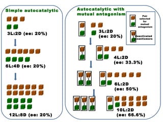 3L:2D (ee: 20%)
6L:4D (ee: 20%)
12L:8D (ee: 20%)
3L:2D
(ee: 20%)
4L:2D
(ee: 33.3%)
6L:2D
(ee: 50%)
10L:2D
(ee: 66.6%)
Simple autocatalytic Autocatalytic with
mutual antagonism Pair
selected
for
mutual
antagonism
Deactivated
enantiomers
 