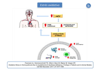 Faverzani JL, Hammerschmidt TG, Sitta A, Deon M, Wajner M, Vargas CR.
Oxidative Stress in Homocystinuria Due to Cystathion...