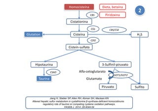 Jiang H, Stabler SP, Allen RH, Abman SH, Maclean KN
Altered hepatic sulfur metabolism in cystathionine β-synthase-deficien...