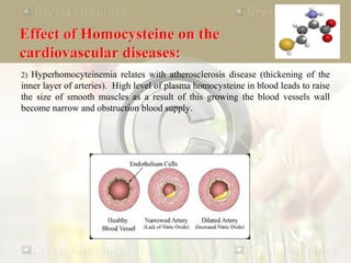 Homocysteine | ODP