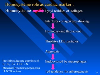 Homocysteine role as cardiac marker :Homocysteine role as cardiac marker :
HomocysteineHomocysteine Lysyl residues of collagenLysyl residues of collagen
Interferes collagen crosslinkingInterferes collagen crosslinking
Homocysteine thiolactoneHomocysteine thiolactone
Thiolates LDL particlesThiolates LDL particles
AggregateAggregate
Endocytosed by macrophagesEndocytosed by macrophages
↑↑ed tendency for atherogenesised tendency for atherogenesis 14
Providing adequate quantities of
B6, B12, FA  HC – N.
Maternal Hyperhomocysteinemia
 NTD in fetus.
 