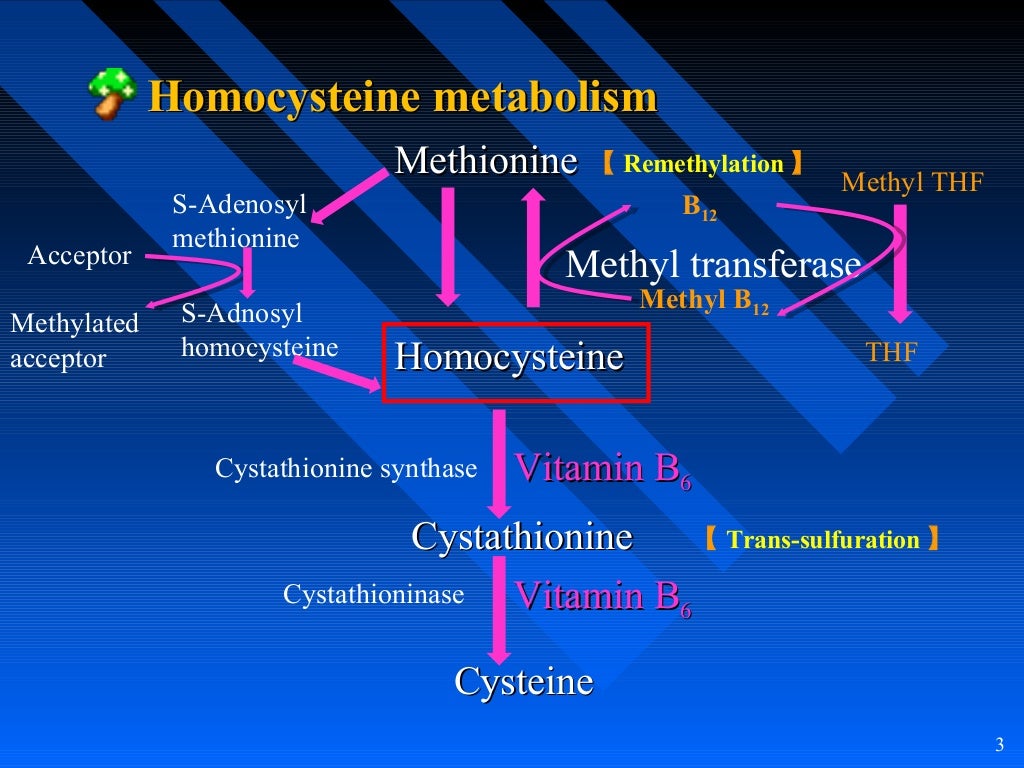 Homocysteine