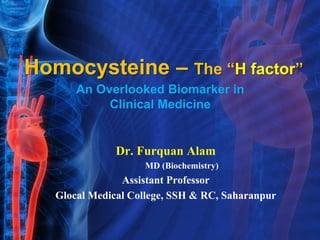 Homocysteine – The “H factor”
Dr. Furquan Alam
MD (Biochemistry)
Assistant Professor
Glocal Medical College, SSH & RC, Saharanpur
An Overlooked Biomarker in
Clinical Medicine
 