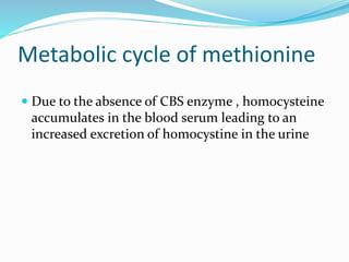 Metabolic cycle of methionine
 Due to the absence of CBS enzyme , homocysteine
accumulates in the blood serum leading to an
increased excretion of homocystine in the urine
 