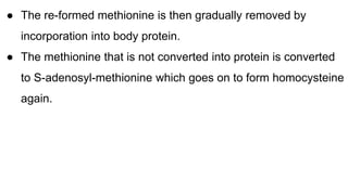 ● The re-formed methionine is then gradually removed by
incorporation into body protein.
● The methionine that is not converted into protein is converted
to S-adenosyl-methionine which goes on to form homocysteine
again.
 
