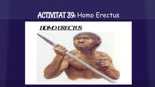 ACTIVITAT 39: Homo Erectus
 
