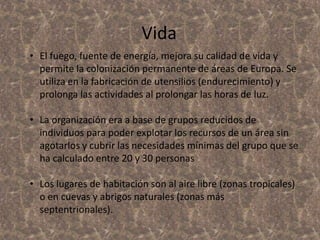 Vida
• El fuego, fuente de energía, mejora su calidad de vida y
permite la colonización permanente de áreas de Europa. Se
utiliza en la fabricación de utensilios (endurecimiento) y
prolonga las actividades al prolongar las horas de luz.

• La organización era a base de grupos reducidos de
individuos para poder explotar los recursos de un área sin
agotarlos y cubrir las necesidades mínimas del grupo que se
ha calculado entre 20 y 30 personas
• Los lugares de habitación son al aire libre (zonas tropicales)
o en cuevas y abrigos naturales (zonas más
septentrionales).

 