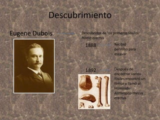 Descubrimiento
Eugene Dubois

Descubridor de los primeros fósiles
Homo erectus

1888

Recibió
permiso para
escavar

1892

Después de
encontrar varios
fósiles encontró un
fémur y llamó al
Homínido:
Anthropopithecus
erectus

 