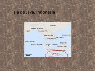 Isla de Java, Indonesia.

 