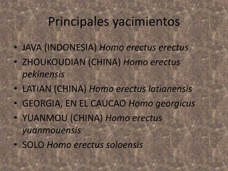 Principales yacimientos
• JAVA (INDONESIA) Homo erectus erectus
• ZHOUKOUDIAN (CHINA) Homo erectus
pekinensis
• LATIAN (CHINA) Homo erectus latianensis
• GEORGIA, EN EL CAUCAO Homo georgicus
• YUANMOU (CHINA) Homo erectus
yuanmouensis
• SOLO Homo erectus soloensis

 
