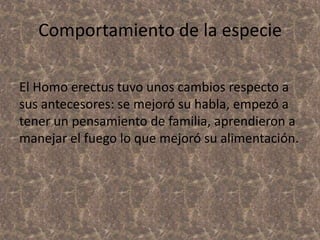 Comportamiento de la especie
El Homo erectus tuvo unos cambios respecto a
sus antecesores: se mejoró su habla, empezó a
tener un pensamiento de familia, aprendieron a
manejar el fuego lo que mejoró su alimentación.

 