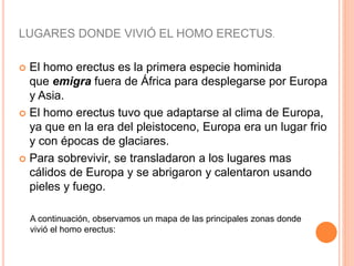  El homo erectus es la primera especie hominida
que emigra fuera de África para desplegarse por Europa
y Asia.
 El homo erectus tuvo que adaptarse al clima de Europa,
ya que en la era del pleistoceno, Europa era un lugar frio
y con épocas de glaciares.
 Para sobrevivir, se transladaron a los lugares mas
cálidos de Europa y se abrigaron y calentaron usando
pieles y fuego.
A continuación, observamos un mapa de las principales zonas donde
vivió el homo erectus:
LUGARES DONDE VIVIÓ EL HOMO ERECTUS.
 