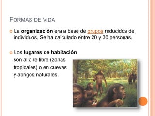 FORMAS DE VIDA
 La organización era a base de grupos reducidos de
individuos. Se ha calculado entre 20 y 30 personas.
 Los lugares de habitación
son al aire libre (zonas
tropicales) o en cuevas
y abrigos naturales.
 