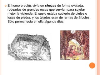  El homo erectus vivía en chozas de forma ovalada,
rodeadas de grandes rocas que servían para sujetar
mejor la vivienda. El suelo estaba cubierto de pieles o
losas de piedra, y los tejados eran de ramas de árboles.
Sólo permanecía en ella algunos días.
 