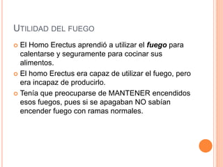 UTILIDAD DEL FUEGO
 El Homo Erectus aprendió a utilizar el fuego para
calentarse y seguramente para cocinar sus
alimentos.
 El homo Erectus era capaz de utilizar el fuego, pero
era incapaz de producirlo.
 Tenía que preocuparse de MANTENER encendidos
esos fuegos, pues si se apagaban NO sabían
encender fuego con ramas normales.
 