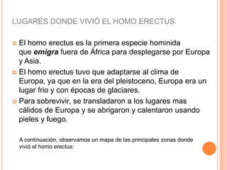  El homo erectus es la primera especie hominida
que emigra fuera de África para desplegarse por Europa
y Asia.
 El homo erectus tuvo que adaptarse al clima de
Europa, ya que en la era del pleistoceno, Europa era un
lugar frio y con épocas de glaciares.
 Para sobrevivir, se transladaron a los lugares mas
cálidos de Europa y se abrigaron y calentaron usando
pieles y fuego.
A continuación, observamos un mapa de las principales zonas donde
vivió el homo erectus:
LUGARES DONDE VIVIÓ EL HOMO ERECTUS.
 