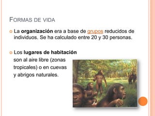 FORMAS DE VIDA
 La organización era a base de grupos reducidos de
individuos. Se ha calculado entre 20 y 30 personas.
 Los lugares de habitación
son al aire libre (zonas
tropicales) o en cuevas
y abrigos naturales.
 