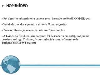 HOMINÍDEO - Foi descrito pela primeira vez em 1975, baseado no fóssil KNM-ER 992 - Validade duvidosa quanto a espécie  Homo ergaster - Poucas diferenças se comparado ao  Homo erectus - A Evidência fóssil mais importante foi descoberta em 1984, no Quênia próximo ao Lago Turkana, ficou conhecida como o “menino de Turkana”(KNM-WT 15000) 
