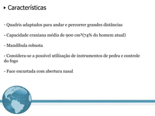 Características Quadris adaptados para andar e percorrer grandes distâncias - Capacidade craniana média de 900 cm³(74% do homem atual) - Mandíbula robusta - Considera-se a possível utilização de instrumentos de pedra e controle do fogo - Face encurtada com abertura nasal 
