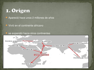  Apareció hace unos 2 millones de años
 Vivió en el continente africano 
 se expandió hacia otros continentes
 