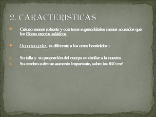  Cráneomenos robusto ycontoros supraorbitales menos acusados que
los Homo erectus asiáticos
 Homoergaster es diferentealos otros homínidos :
1. Sutallay suproporcióndel cuerpo es similaralanuestra
2. Sucerebrosufreunaumentoimportante,sobrelos 850cm³
 